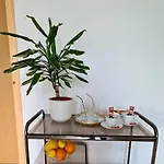 Prenociste Dubravka *